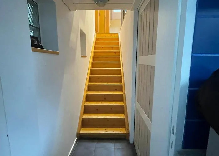 Cronenberg דירה וופרטל